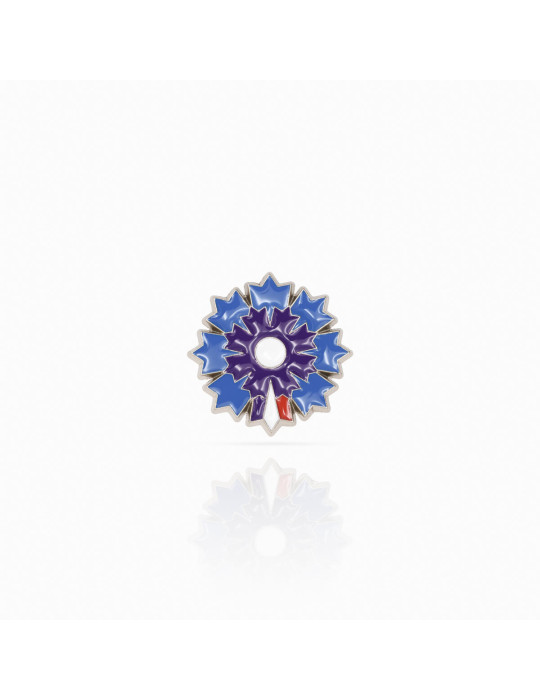Boutique Bleuet de France - Pin's argenté Bleuet de France - Pétale Tricolore
