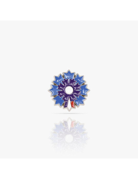 Boutique Bleuet de France - Pin's argenté Bleuet de France - Pétale Tricolore