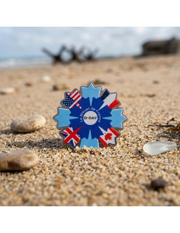Pin's D-Day 2