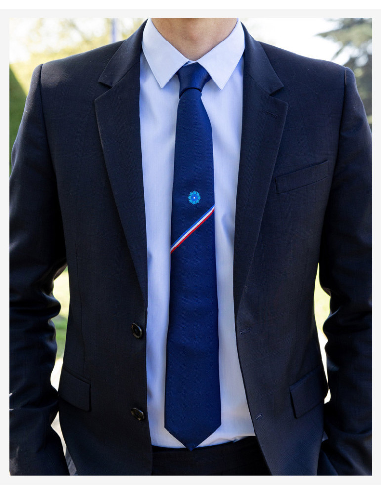 Cravate Bleuet de France x Cinabre