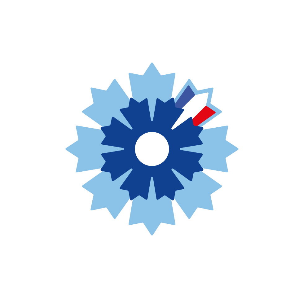 logo bleu Bleuet de France